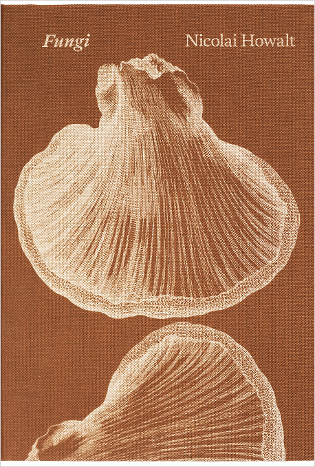 Fungi