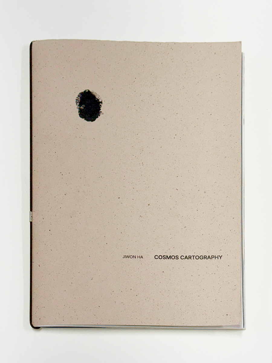 COSMOS CARTOGRAPHY — 하지원