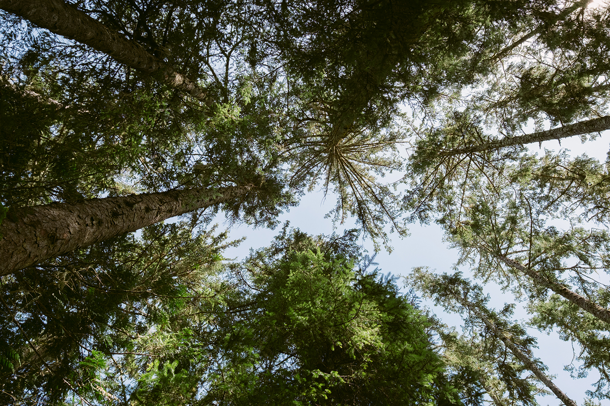 XF18mmF1.4 R LM WR 풍경 사진 3