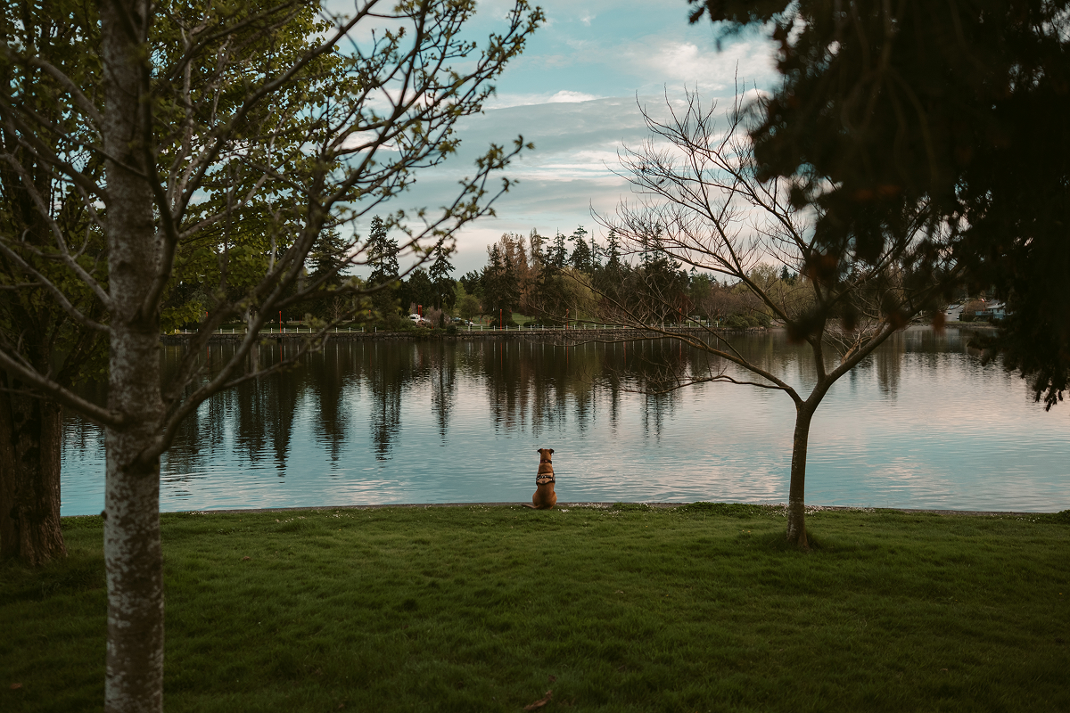 XF18mmF1.4 R LM WR 풍경 사진 4