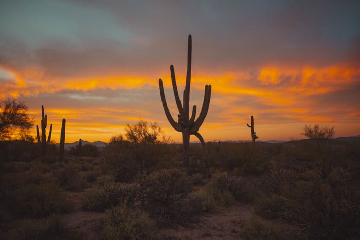 XF14mmF2.8 R 풍경 사진 2