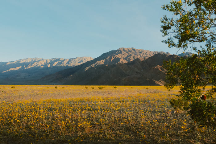 XF16mmF1.4 R WR 풍경 사진 2