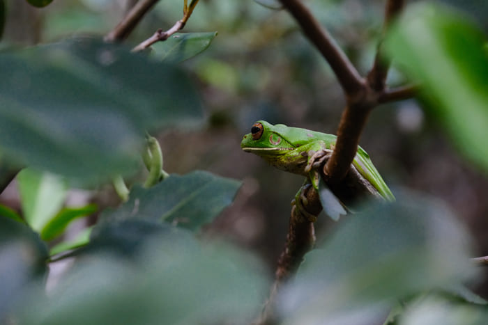 XF50-140mmF2.8 R LM OIS WR 풍경 사진 2