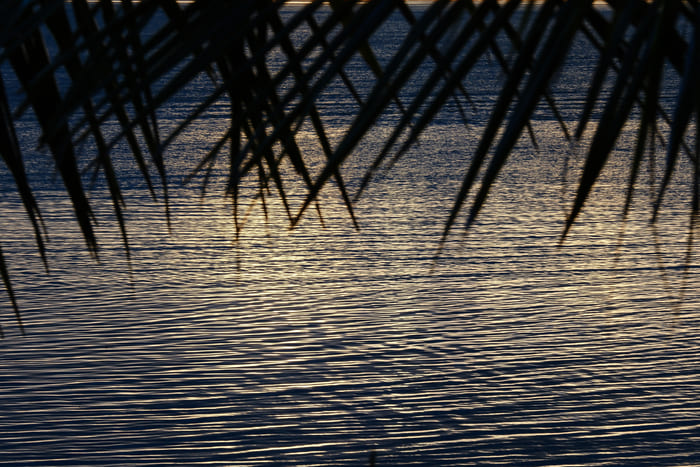 XF50-140mmF2.8 R LM OIS WR 풍경 사진 4