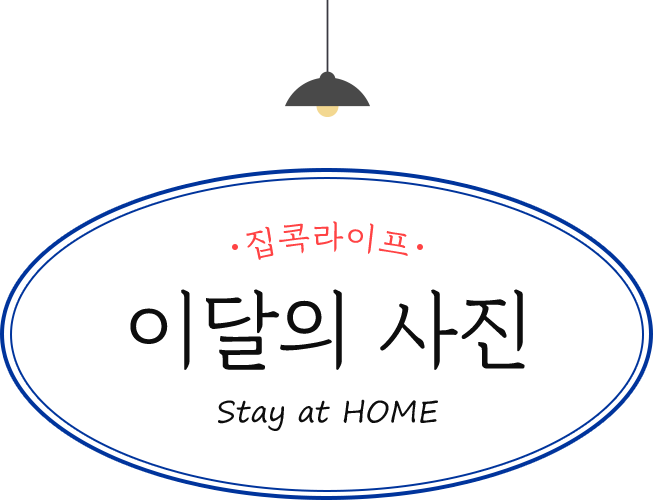 집콕 라이프 이달의 사진 Stay at HOME